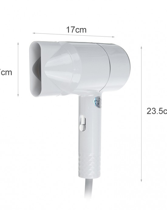 1000W 220V Thermostatic Hair Dryer Air Blower Kit Negative Ion Hair Styling