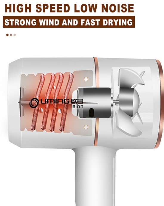 2000W 220V Thermostatic Air Blowe Hair Dryer Negative Ion Hair Styling 2000W 220V Thermostatic Air Blowe Hair Dryer Negative Ion Hair Styling