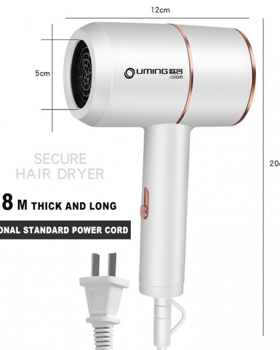 2000W 220V Thermostatic Air Blowe Hair Dryer Negative Ion Hair Styling 2000W 220V Thermostatic Air Blowe Hair Dryer Negative Ion Hair Styling